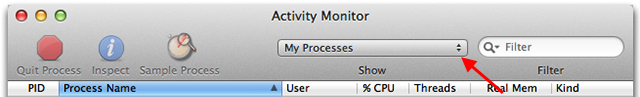 Screencap of Activity Monitor processes